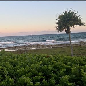 Meet your Posher, Elise